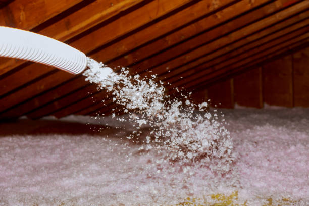 Best Types of Insulation in Colfax, LA