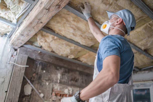 Best Specialty Insulation in Colfax, LA