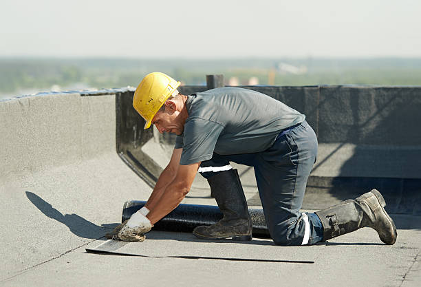 Best Specialty Insulation in Colfax, LA
